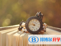 内江2022年查询中考成绩上哪个网站