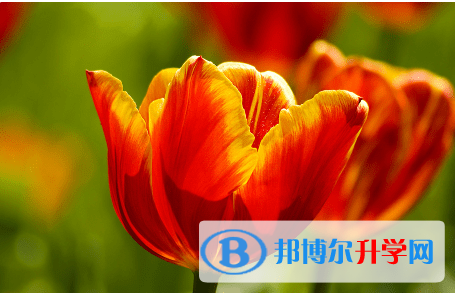 内江2022年怎样对待中考成绩