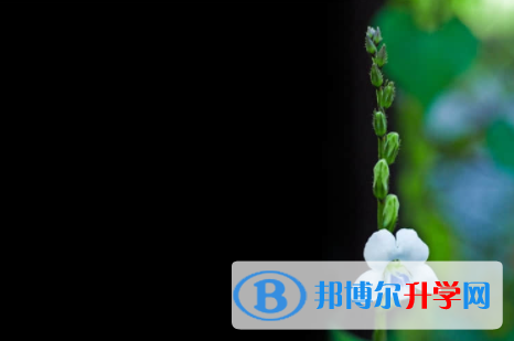 内江2022年中考是不是录取线最高的