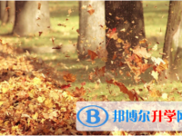 内江2022年中考统考成绩