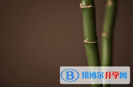 内江2022年中考网络服务平台