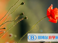 内江2022年中考网络服务应用平台