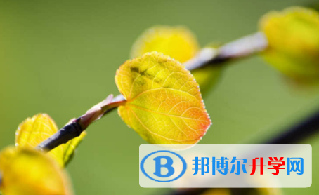 内江2022年中考网上模拟报名