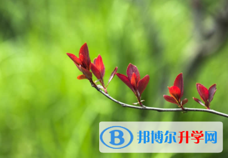 内江2022年中考自主招生成绩