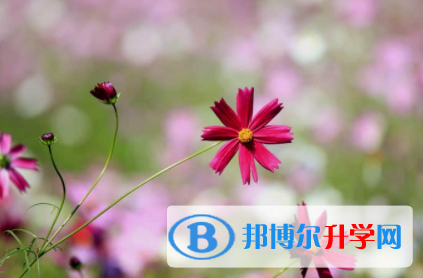 内江2022年中考自主招生时间