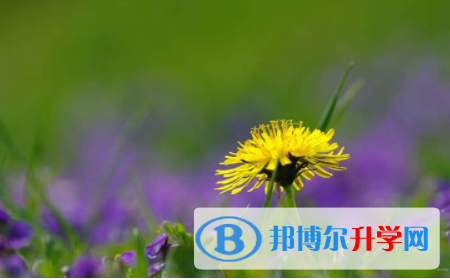 内江2022年外地生参加中考