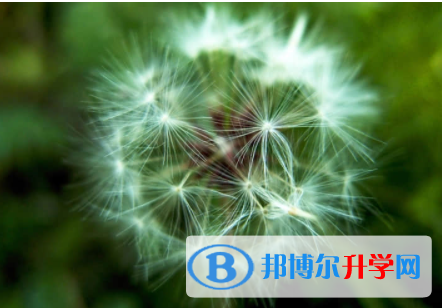 内江2022年中考的统招和调剂说明