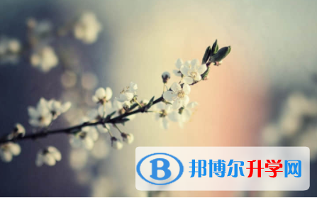 内江2022年中考孩子的营养餐