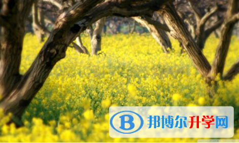 内江2022年中考期间的饮食