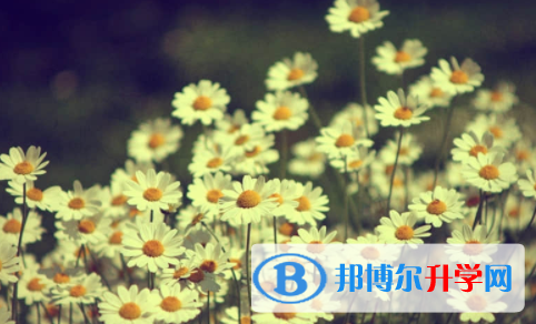 内江2022年中考没考好