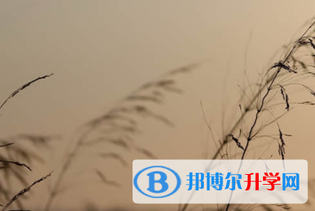 乐山2022年中考录取方式