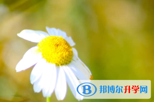 乐山2022年中考录取行情