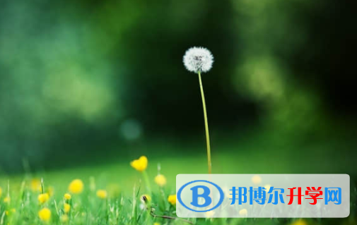 乐山2022年中考录取名单