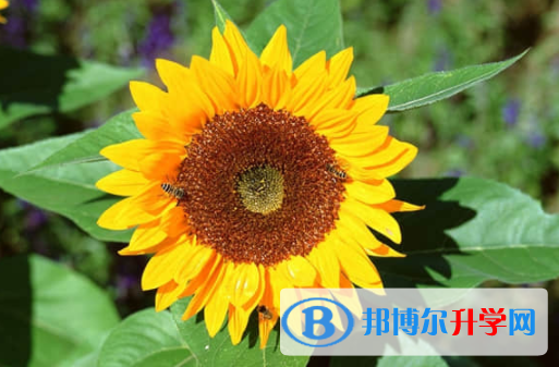 乐山2022年中考如何