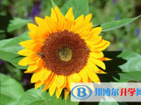 乐山2022年中考如何