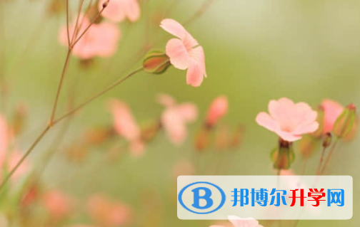 乐山2022年中考升学录取比例