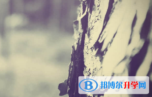 乐山2022年中考填志愿统招和调剂