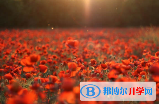 乐山2022年中考调招