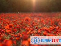 乐山2022年中考调招
