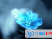 乐山2022年中考听力