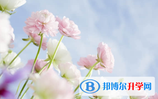 乐山2022年中考网络服务平台