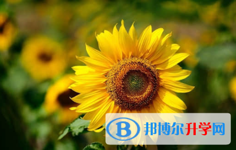 乐山2022年中考网络平台