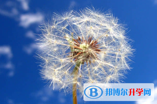 乐山2022年中考阅卷安排