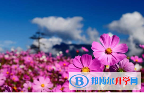 乐山2022年中考怎样调剂