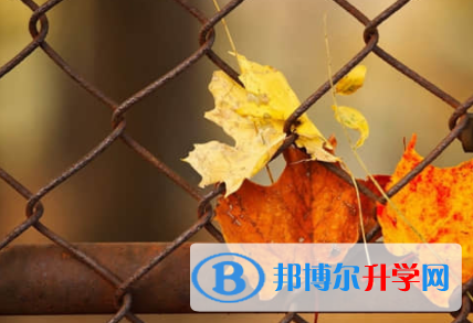 乐山2022年中考招生网络应用服务平台