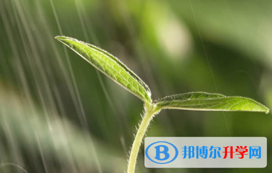 乐山2022年中考咨询热线电话号码