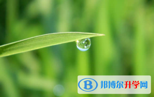 乐山2022年中考自主招生办法