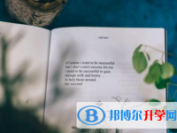 乐山2022年中考各科高频考点