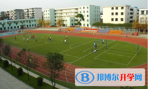 成飛2