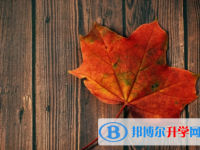 乐山2022年中考落榜了怎么办