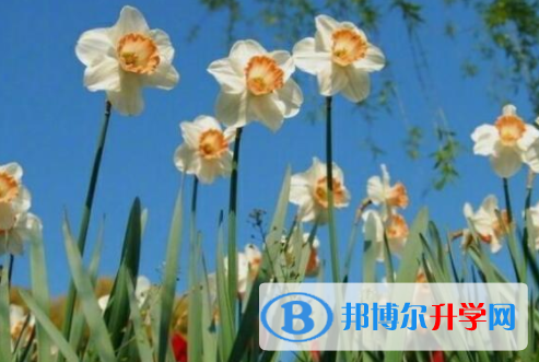 乐山2022年中考的报名号是什么