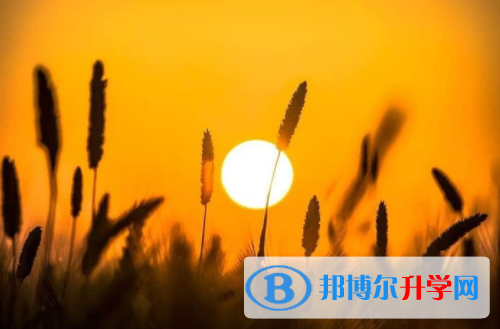 乐山2022年怎么写中考自荐书