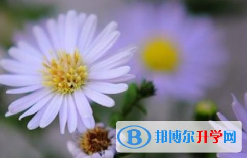 乐山2022年今年中考难吗