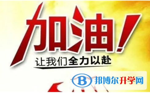 南充2022年查询中考成绩的热线电话