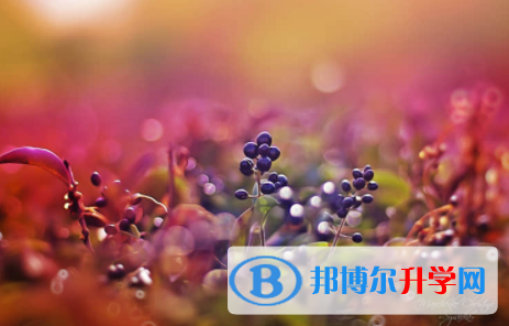 南充2022年中考升学录取比例