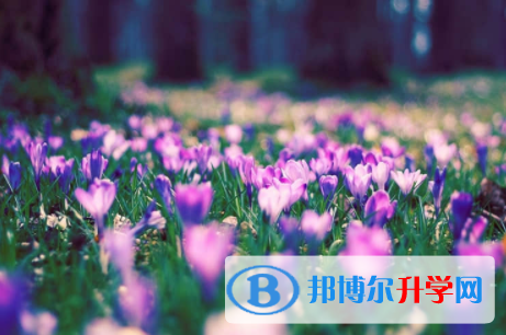 南充2022年中考生落榜后可不可以选择复读