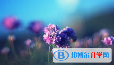 南充2022年中考招生办电话