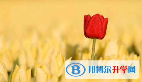 南充2022年中考自主招生办法