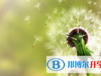 南充2022年中考自主招生考试学校