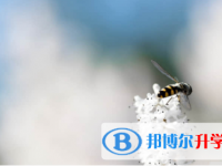 南充2022年中考的统招和调剂说明