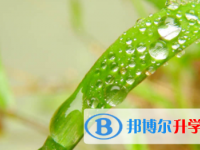 南充2022年中考各科高频考点