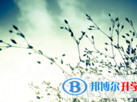 南充2022年中考紧张