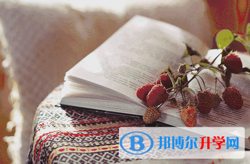南充2022年中考的报名号是什么