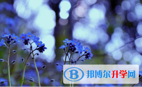 南充2022年未参加中考可以读啥学校