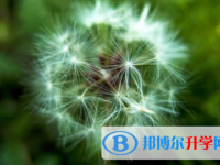 南充2022年孩子因病错过中考怎么办