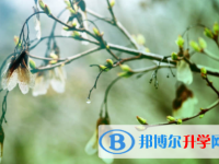 南充2022年中考网上志愿如何打印